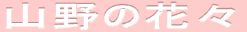 {̖쒹̐E 